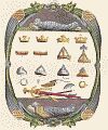 Plate XXIX